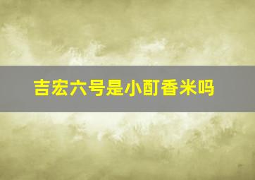 吉宏六号是小酊香米吗