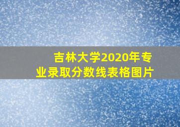 吉林大学2020年专业录取分数线表格图片