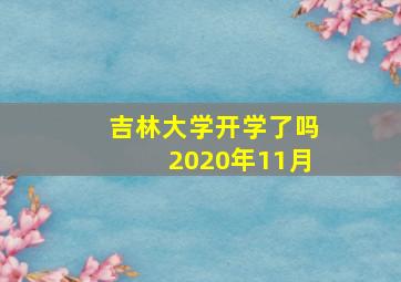 吉林大学开学了吗2020年11月