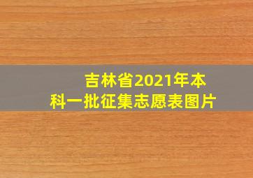 吉林省2021年本科一批征集志愿表图片