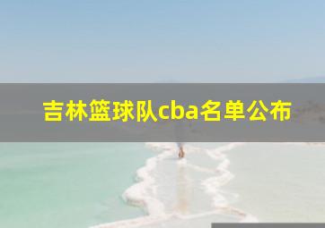 吉林篮球队cba名单公布