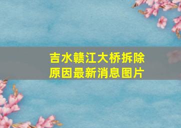 吉水赣江大桥拆除原因最新消息图片