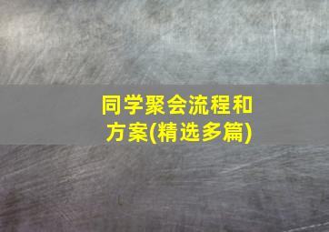 同学聚会流程和方案(精选多篇)