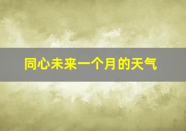 同心未来一个月的天气