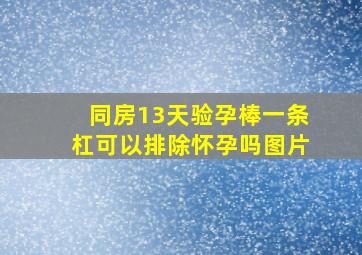 同房13天验孕棒一条杠可以排除怀孕吗图片