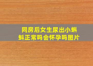 同房后女生尿出小蝌蚪正常吗会怀孕吗图片