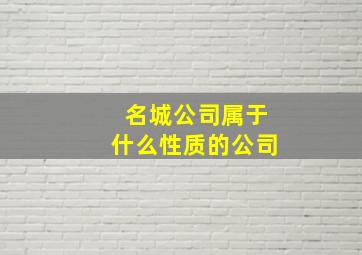 名城公司属于什么性质的公司