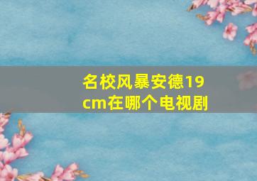 名校风暴安德19cm在哪个电视剧