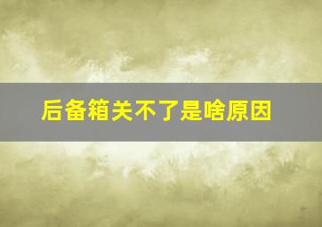 后备箱关不了是啥原因