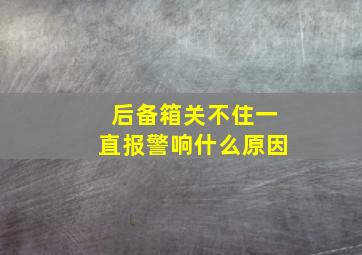 后备箱关不住一直报警响什么原因