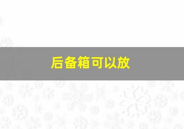 后备箱可以放