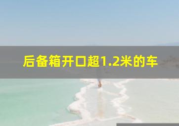 后备箱开口超1.2米的车