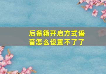 后备箱开启方式语音怎么设置不了了