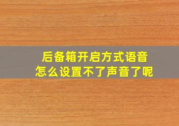 后备箱开启方式语音怎么设置不了声音了呢