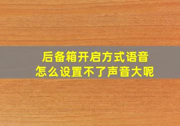 后备箱开启方式语音怎么设置不了声音大呢