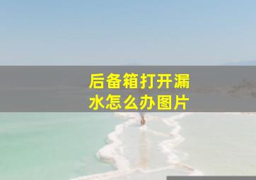 后备箱打开漏水怎么办图片