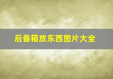 后备箱放东西图片大全