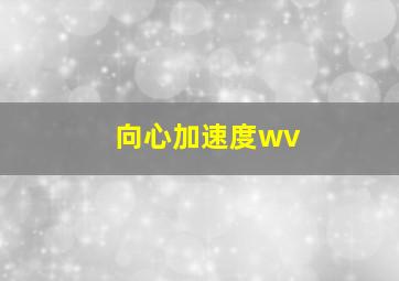 向心加速度wv