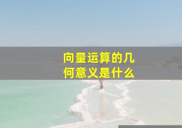 向量运算的几何意义是什么