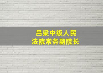 吕梁中级人民法院常务副院长