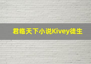 君临天下小说Kivey徒生