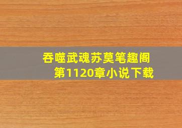 吞噬武魂苏莫笔趣阁第1120章小说下载