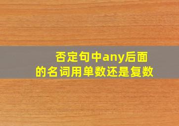 否定句中any后面的名词用单数还是复数