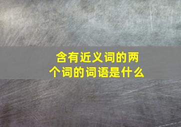 含有近义词的两个词的词语是什么