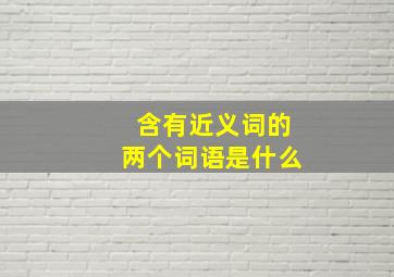 含有近义词的两个词语是什么