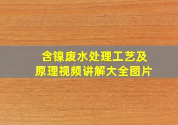 含镍废水处理工艺及原理视频讲解大全图片