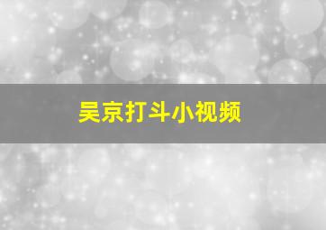 吴京打斗小视频