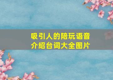 吸引人的陪玩语音介绍台词大全图片