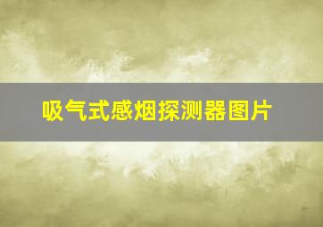 吸气式感烟探测器图片