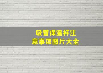 吸管保温杯注意事项图片大全