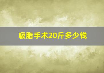 吸脂手术20斤多少钱