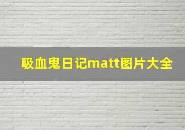 吸血鬼日记matt图片大全