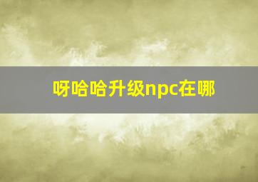 呀哈哈升级npc在哪