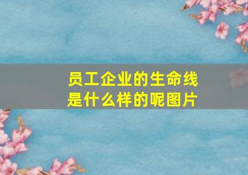 员工企业的生命线是什么样的呢图片