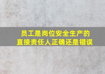 员工是岗位安全生产的直接责任人正确还是错误