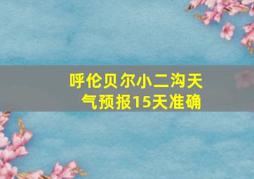 呼伦贝尔小二沟天气预报15天准确