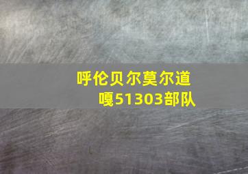 呼伦贝尔莫尔道嘎51303部队