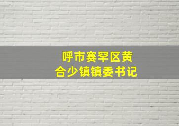 呼市赛罕区黄合少镇镇委书记