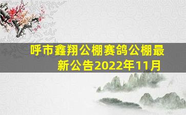 呼市鑫翔公棚赛鸽公棚最新公告2022年11月