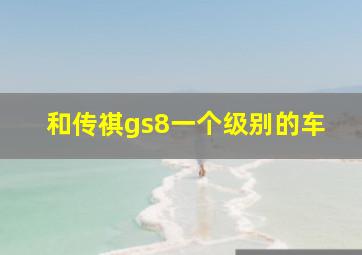 和传祺gs8一个级别的车