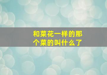 和菜花一样的那个菜的叫什么了