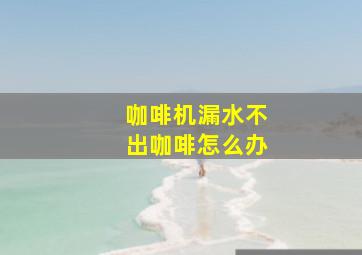 咖啡机漏水不出咖啡怎么办