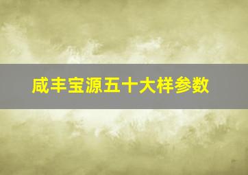 咸丰宝源五十大样参数