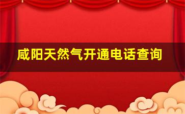 咸阳天然气开通电话查询