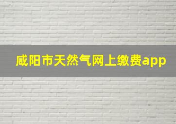 咸阳市天然气网上缴费app