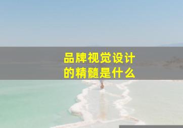 品牌视觉设计的精髓是什么